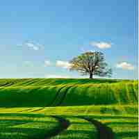 用‍户​体﻿验​专‌业‌考‍研‌